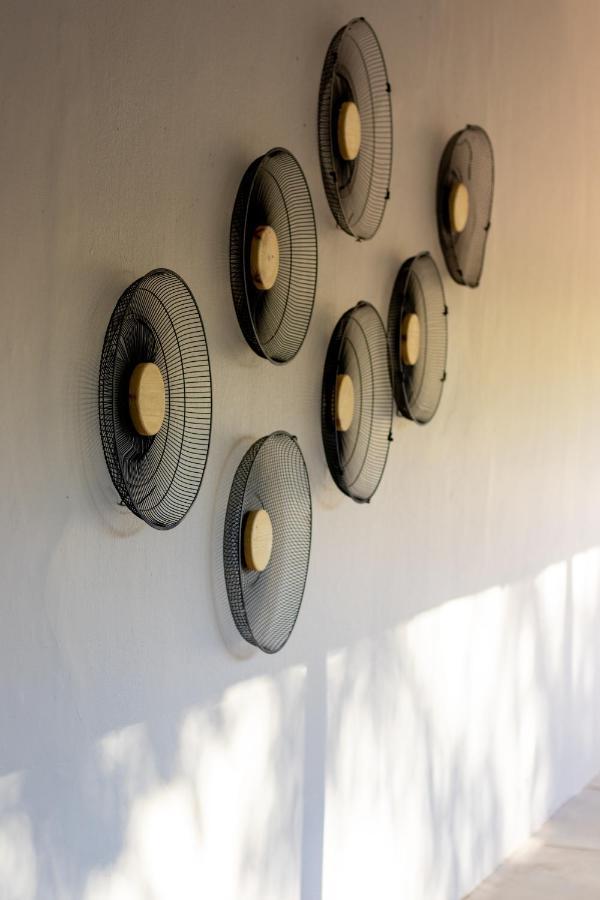 Alimento Guest House Upington Exterior photo